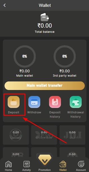 Choose deposit option and enter deposit amount